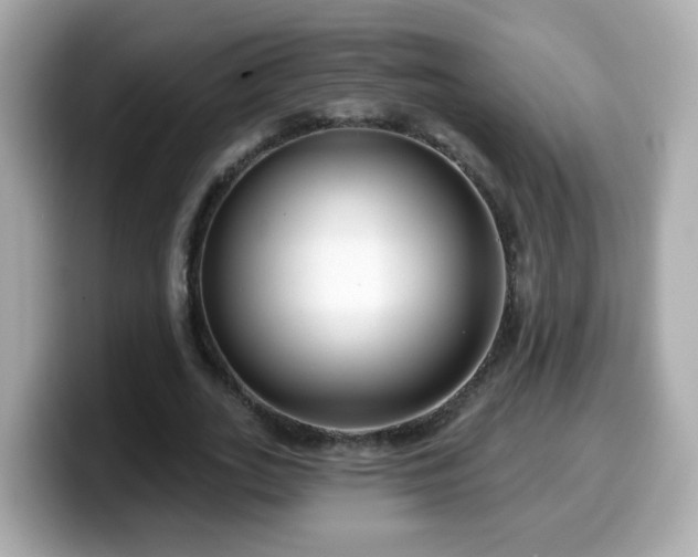 X0000099560727200805231512