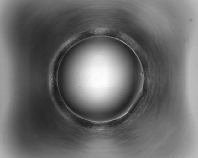 X0000099560728200805231512