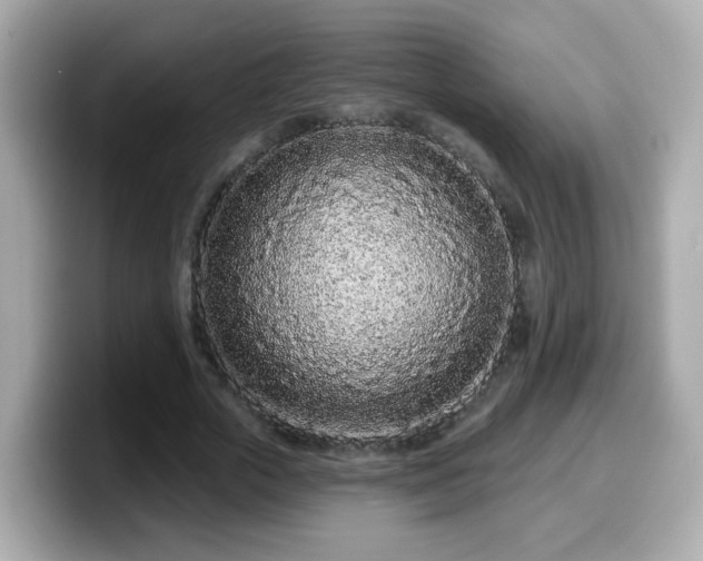 X0000099560729200805231512