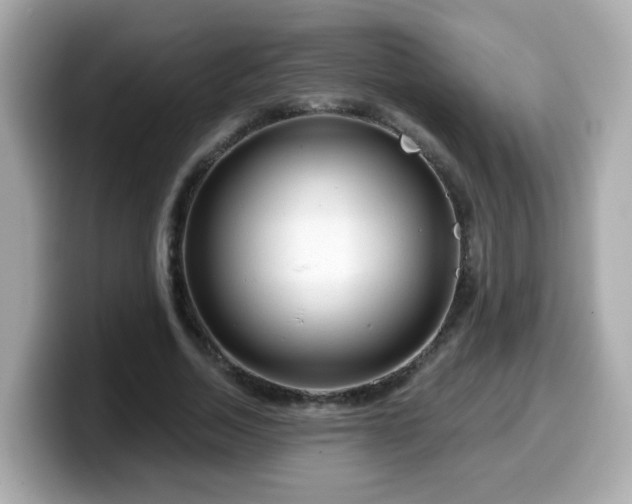 X0000099560730200805231512