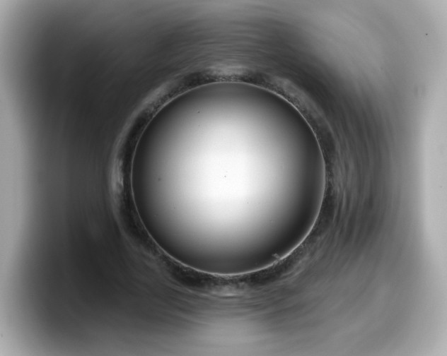 X0000099560731200805231512