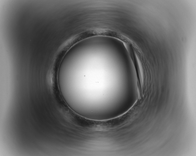 X0000099560732200805231512