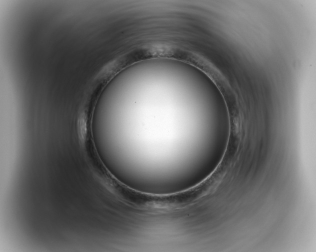 X0000099560733200805231512