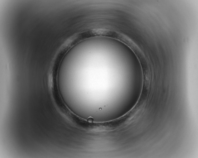 X0000099560734200805231512