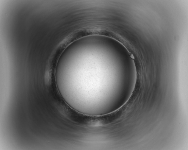 X0000099560735200805231512