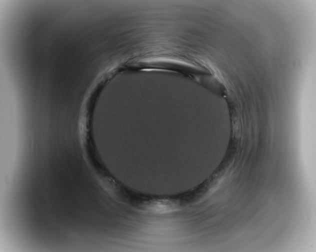 X0000099560736200805231512