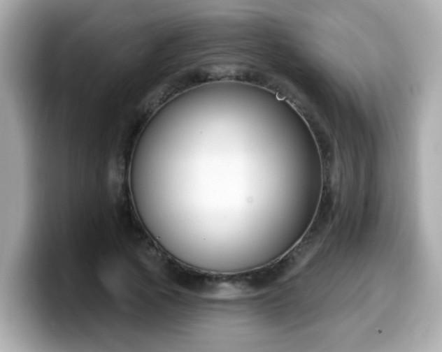 X0000099560737200805231512