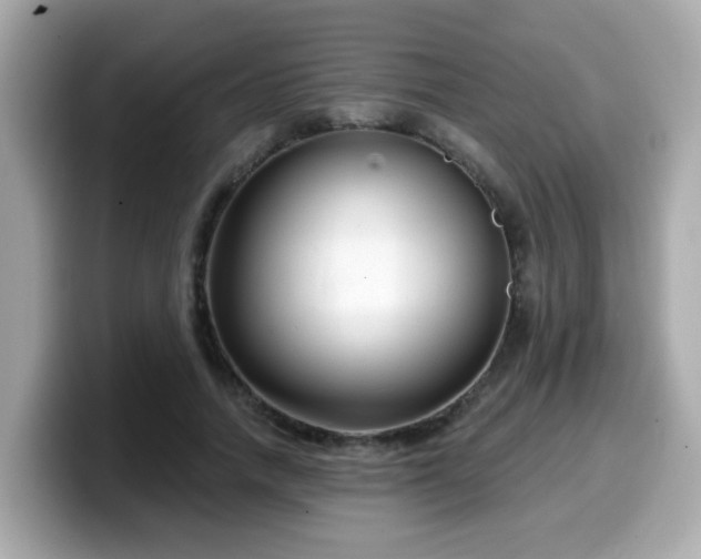 X0000099560738200805231512