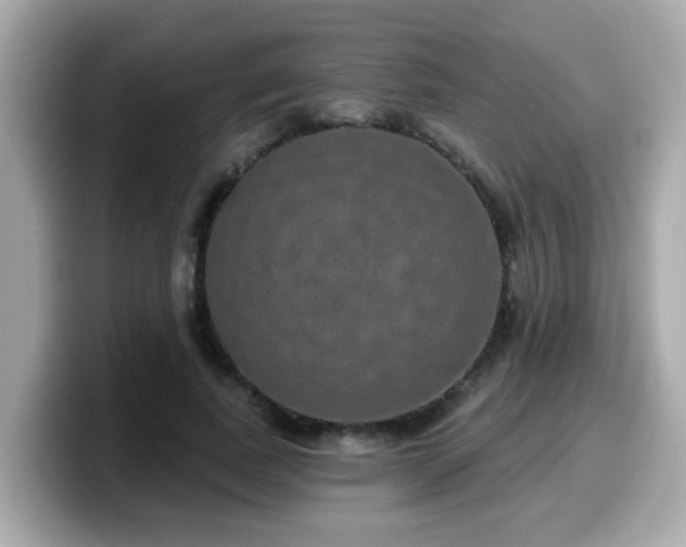 X0000099560739200805231512