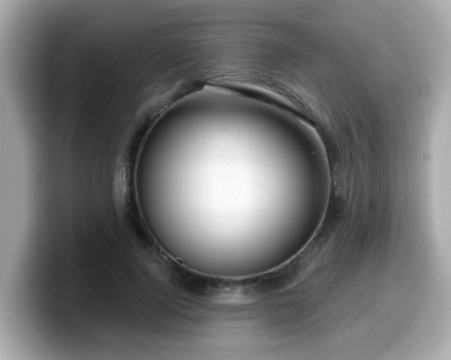 X0000099560740200805231512