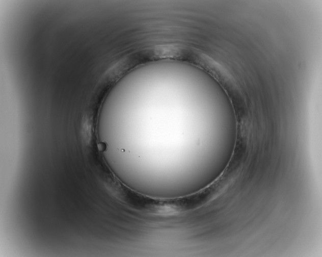 X0000099560741200805231512