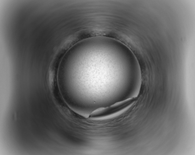 X0000099560742200805231512