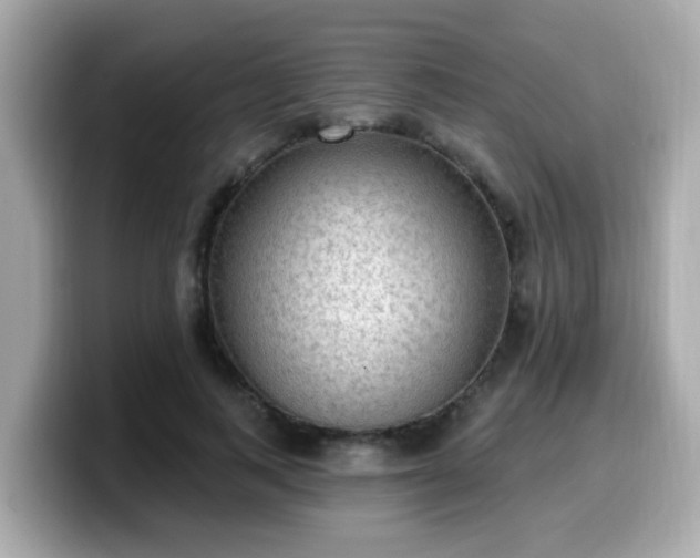 X0000099560743200805231512