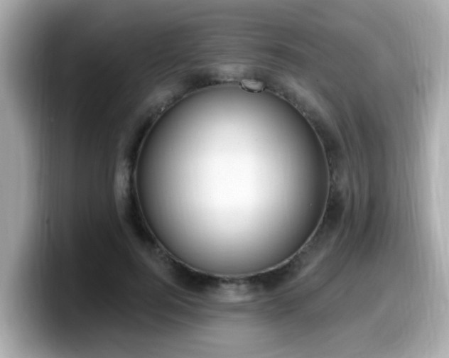 X0000099560744200805231512