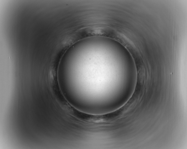 X0000099560747200805231512