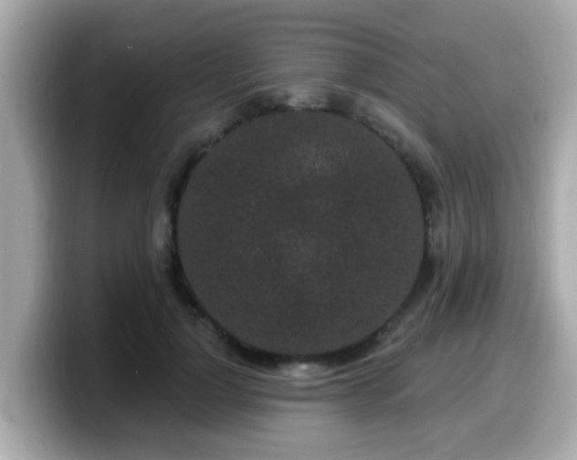 X0000099560748200805231512