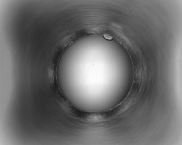 X0000099560749200805231512