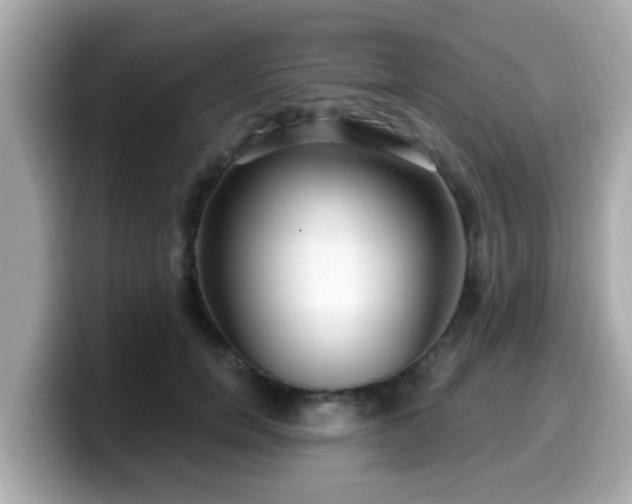 X0000099560750200805231512