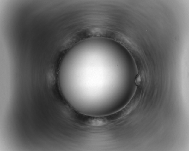 X0000099560751200805231512