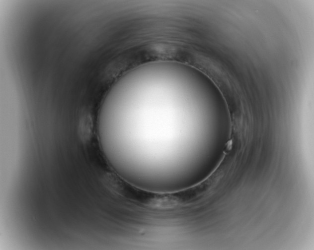 X0000099560752200805231512