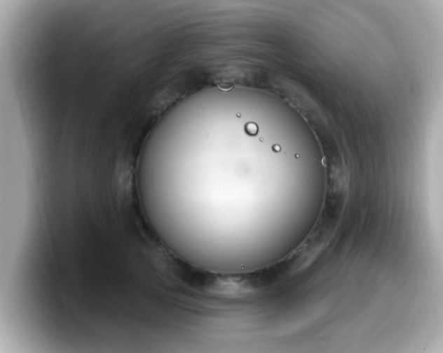 X0000099560753200805231512