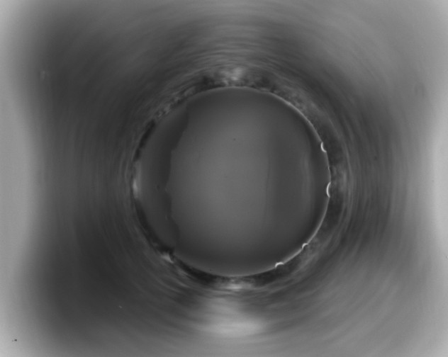 X0000099560754200805231512