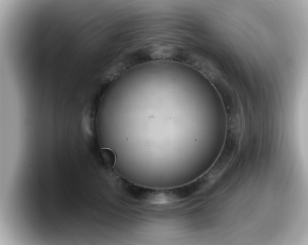 X0000099560755200805231512