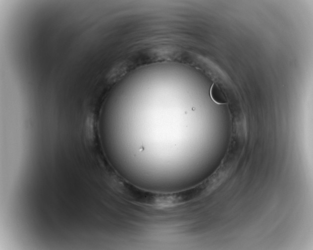 X0000099560757200805231512