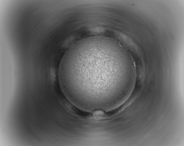 X0000099560758200805231512