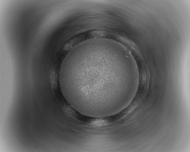 X0000099560759200805231512