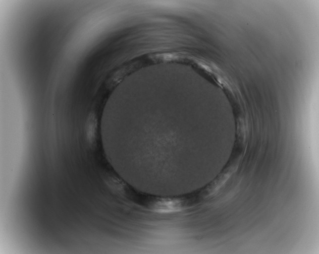 X0000099560760200805231512