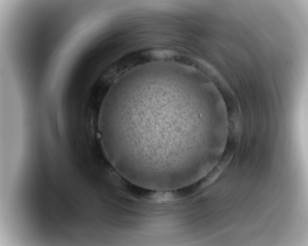 X0000099560762200805231512