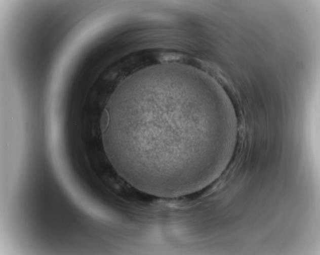 X0000099560763200805231512