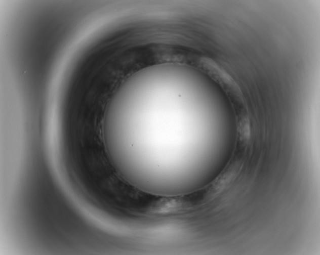 X0000099560764200805231512