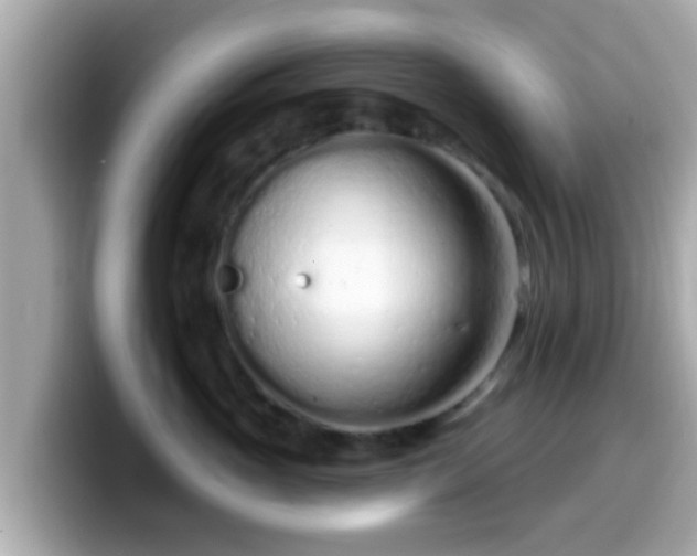 X0000099560765200805231512