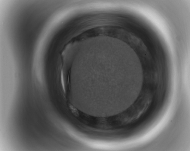 X0000099560766200805231512