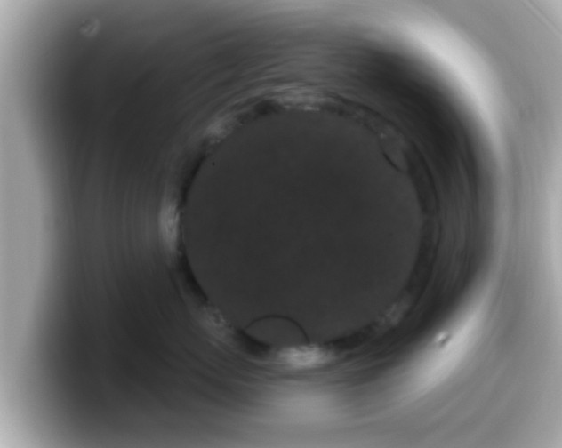 X0000099560767200805231512