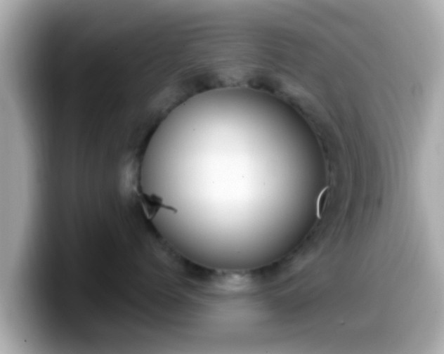 X0000099560768200805231512