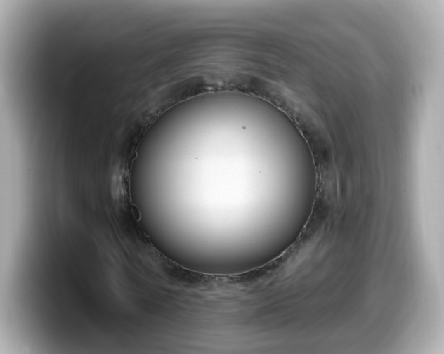 X0000099560770200805231511