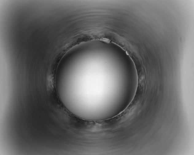 X0000099560772200805231511