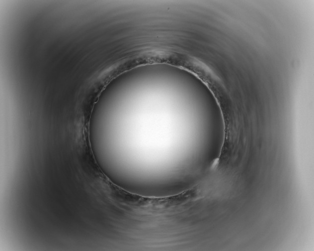 X0000099560773200805231511