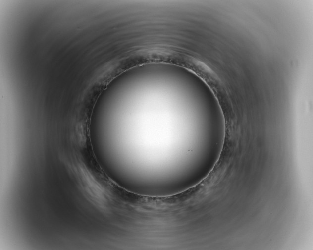 X0000099560774200805231511