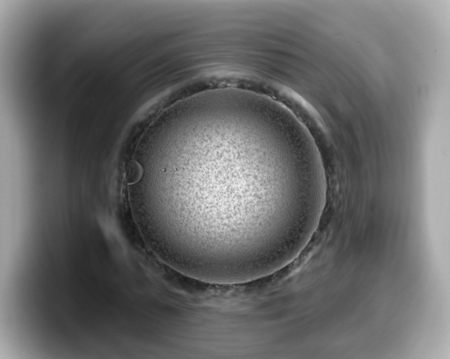 X0000099560775200805231511