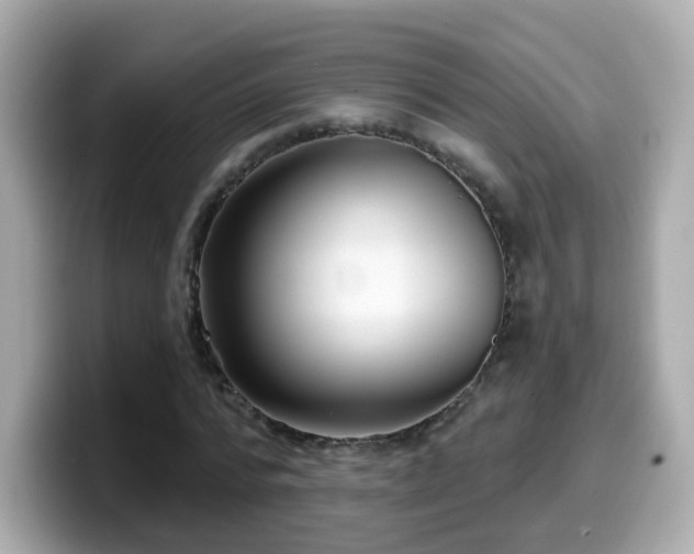 X0000099560776200805231511