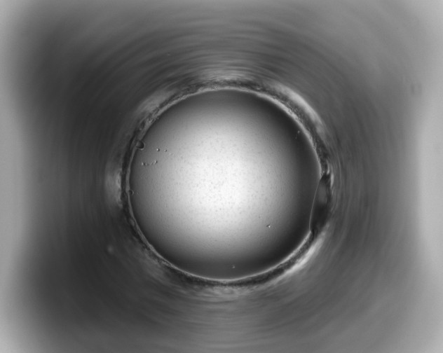 X0000099560777200805231511