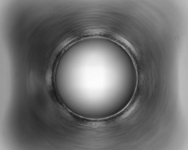 X0000099560778200805231511