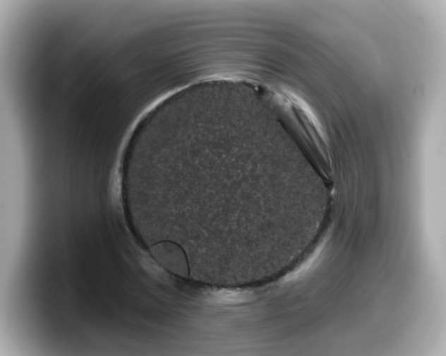 X0000099560779200805231511