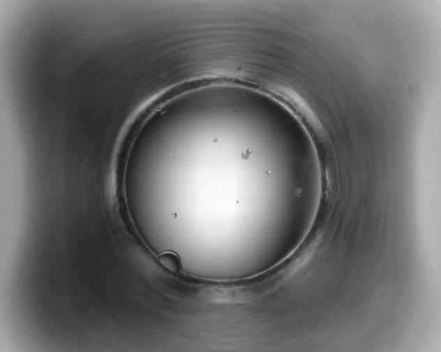 X0000099560780200805231511