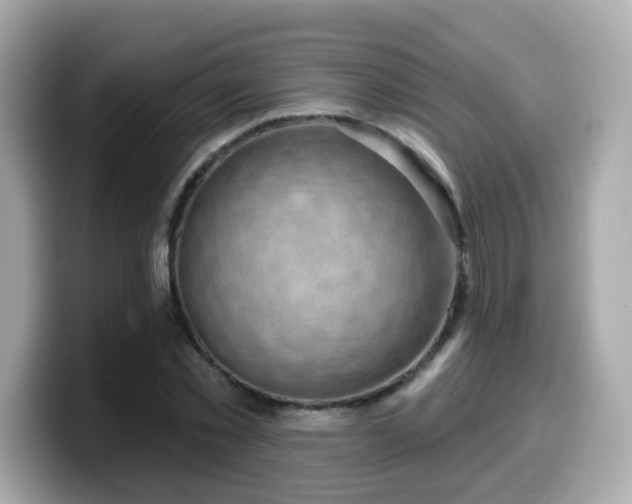 X0000099560781200805231511