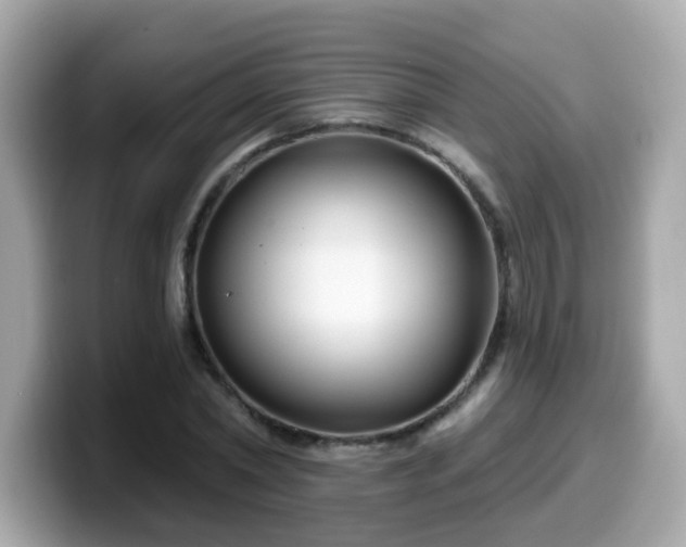 X0000099560782200805231511